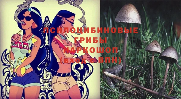 каннабис Медвежьегорск