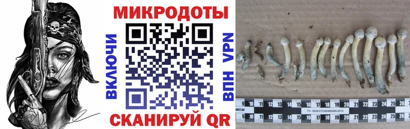 Псилоцибиновые грибы GOLDEN TEACHER  МЕГА зеркало  Барнаул 
